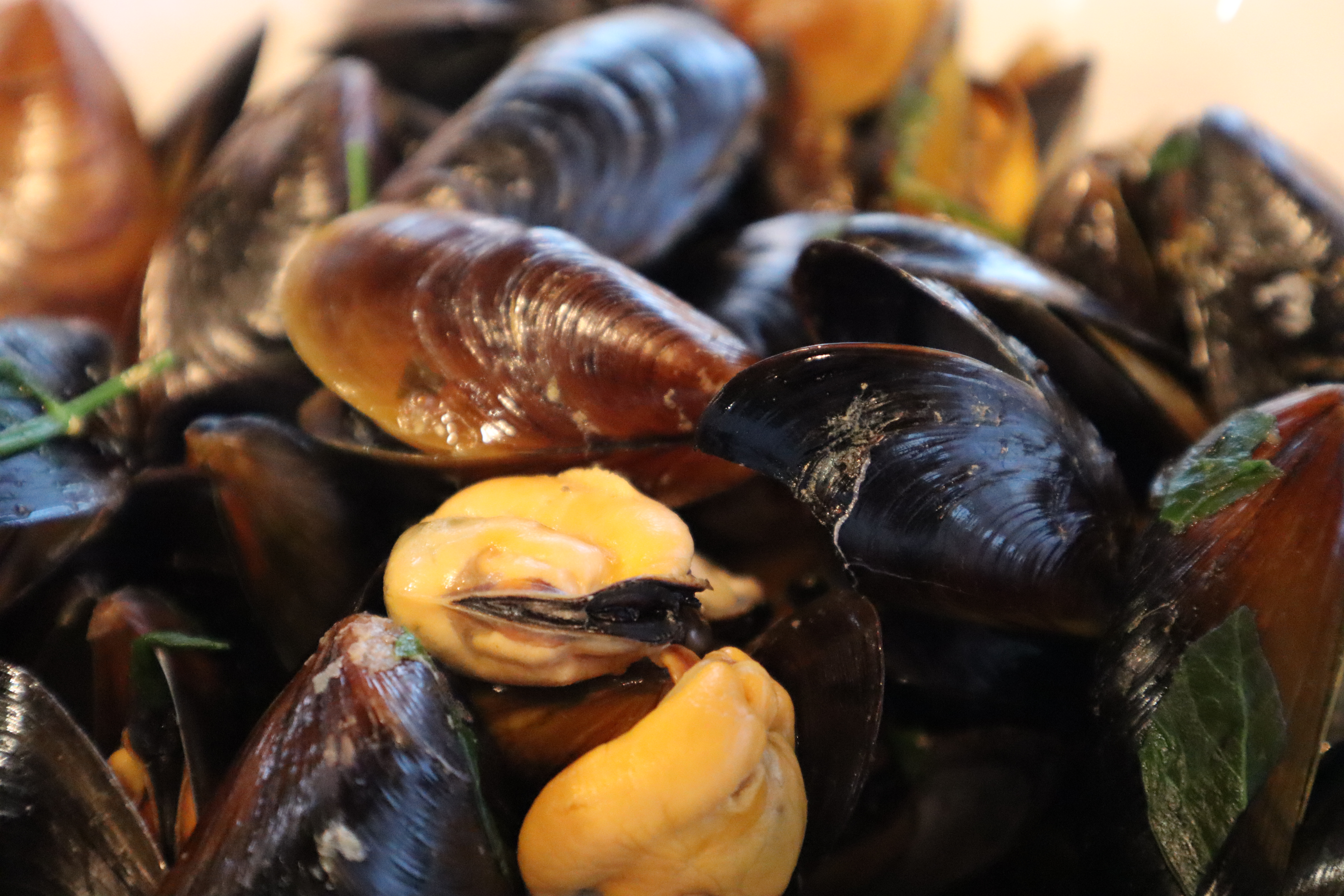 Von Bukarest nach Varna